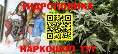 прущие грибы Пыть-Ях