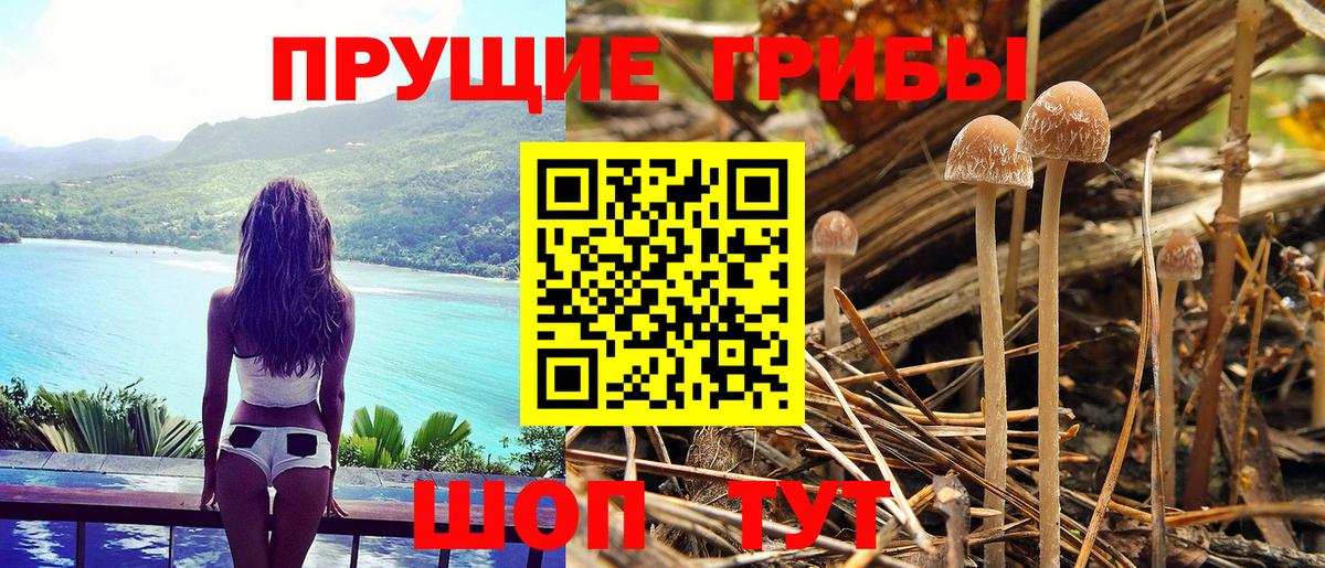 Рязань  продажа наркотиков  Вход с VPN  Галлюциногенные грибы мицелий 